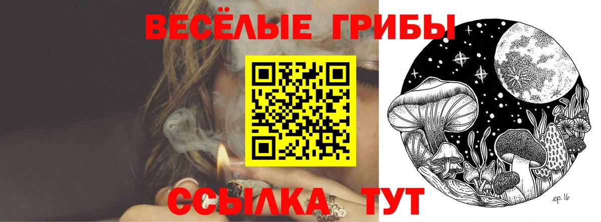 Липецк  Псилоцибиновые грибы Psilocybine cubensis  Вход с VPN 